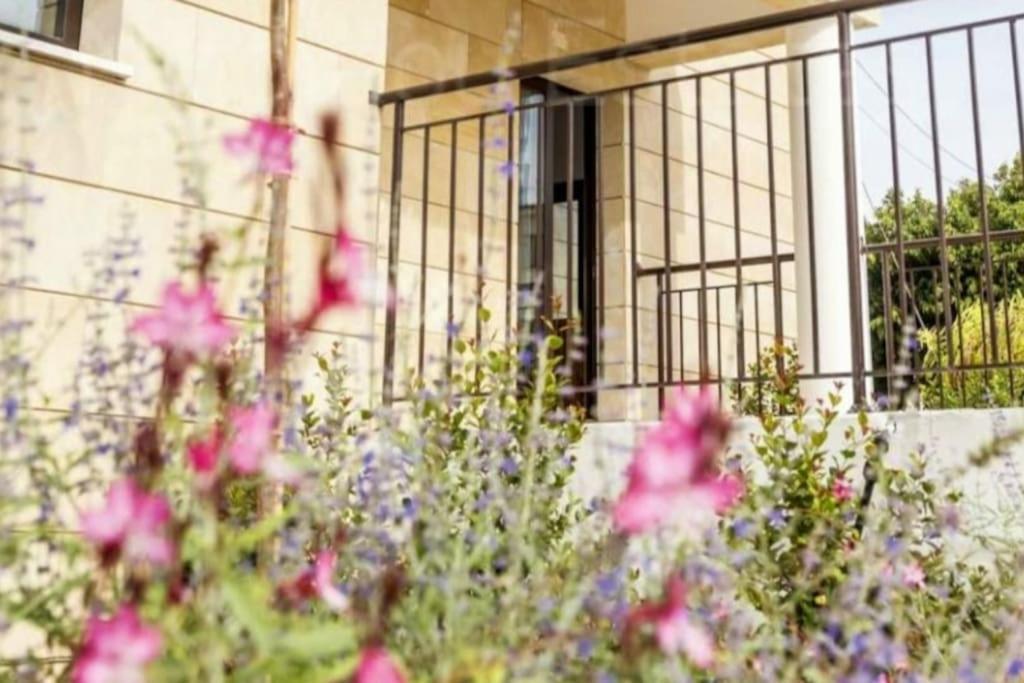 Epicurian Residence نيقوسيا المظهر الخارجي الصورة