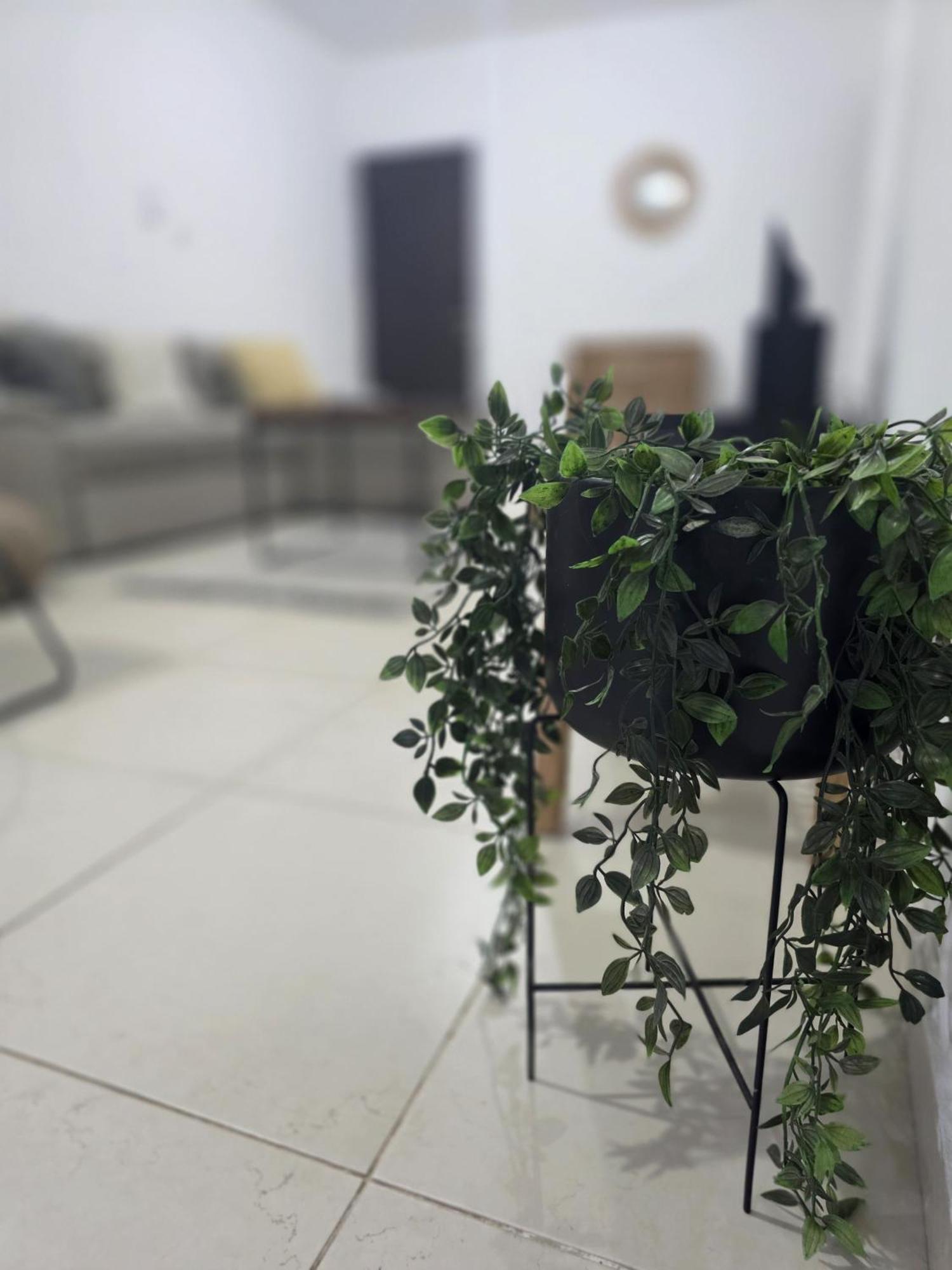 Epicurian Residence نيقوسيا المظهر الخارجي الصورة